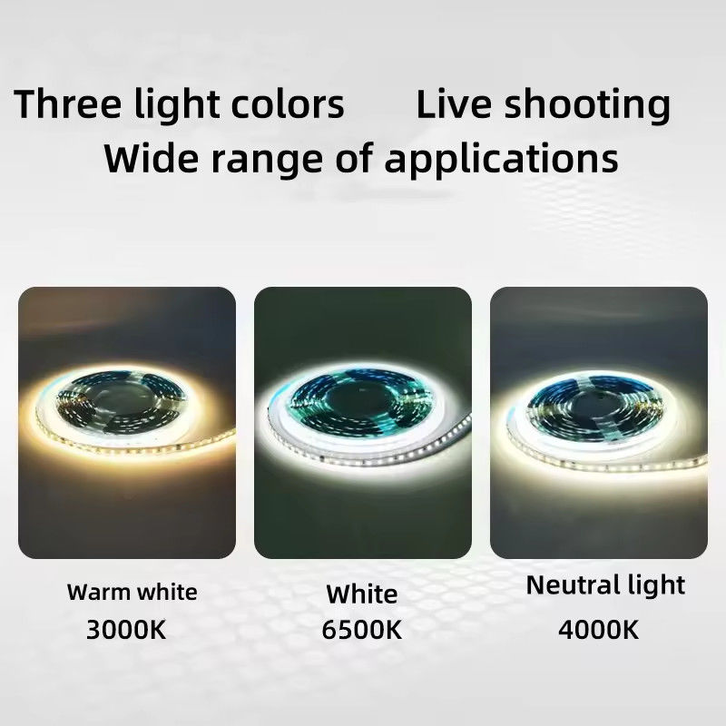 120LEDs/m ইনডোর জন্য নমনীয় LED স্ট্রিপ ড্রাইভার প্রয়োজন নেই CRI80 2835 SMD 8mm PCB দৈর্ঘ্য 5M/10M