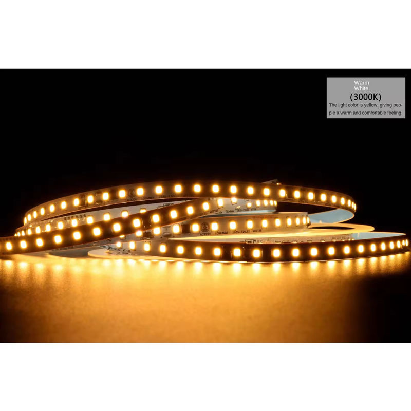 2835 120Leds 8W/M CRI80 নমনীয় LED স্ট্রিপ 5M/10M দৈর্ঘ্য হোম ক্রিসমাস সজ্জা জন্য